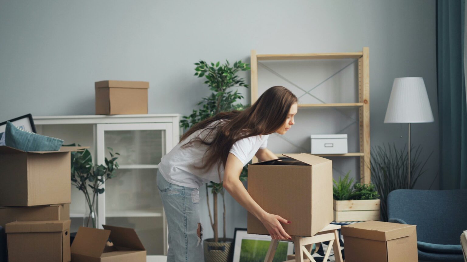 How to Rent Guide: Everything You Need to Know Under the New Renters ...